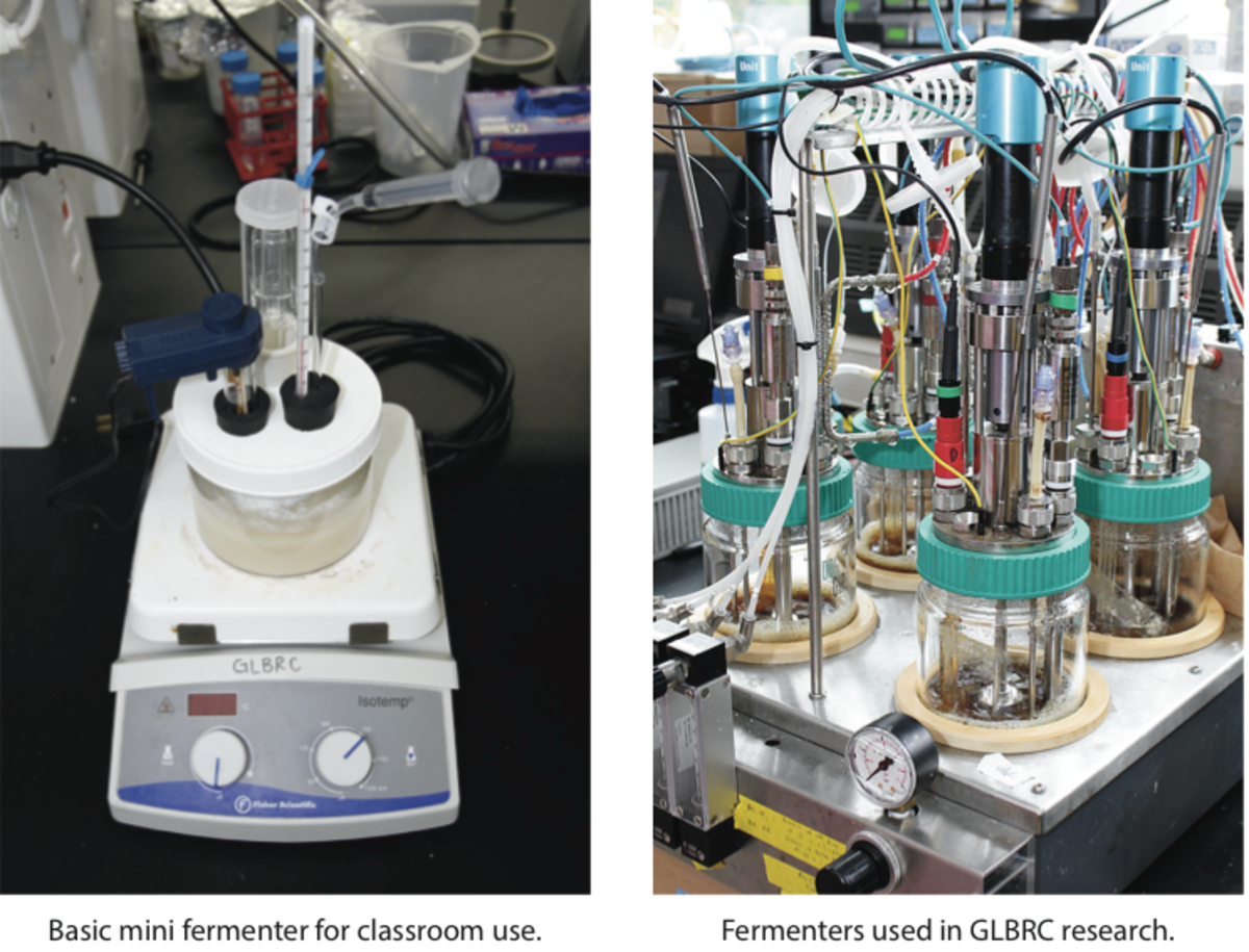Mini Fermenter Great Lakes Bioenergy Research Center